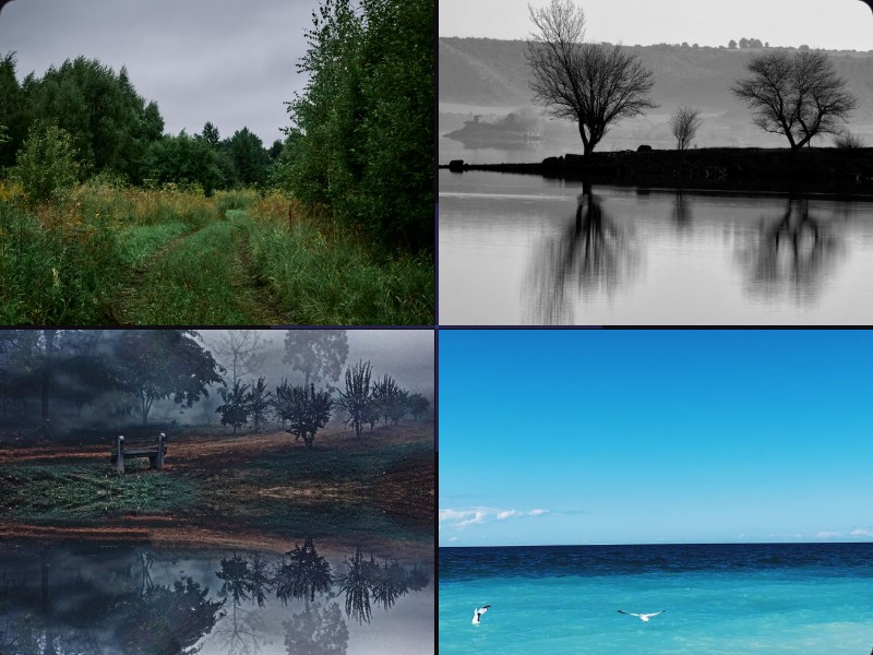 Коллаж из фото с музыкой онлайн: как сделать красиво